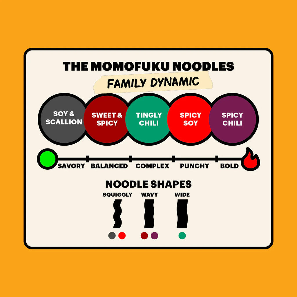 Noodle 101 Pack